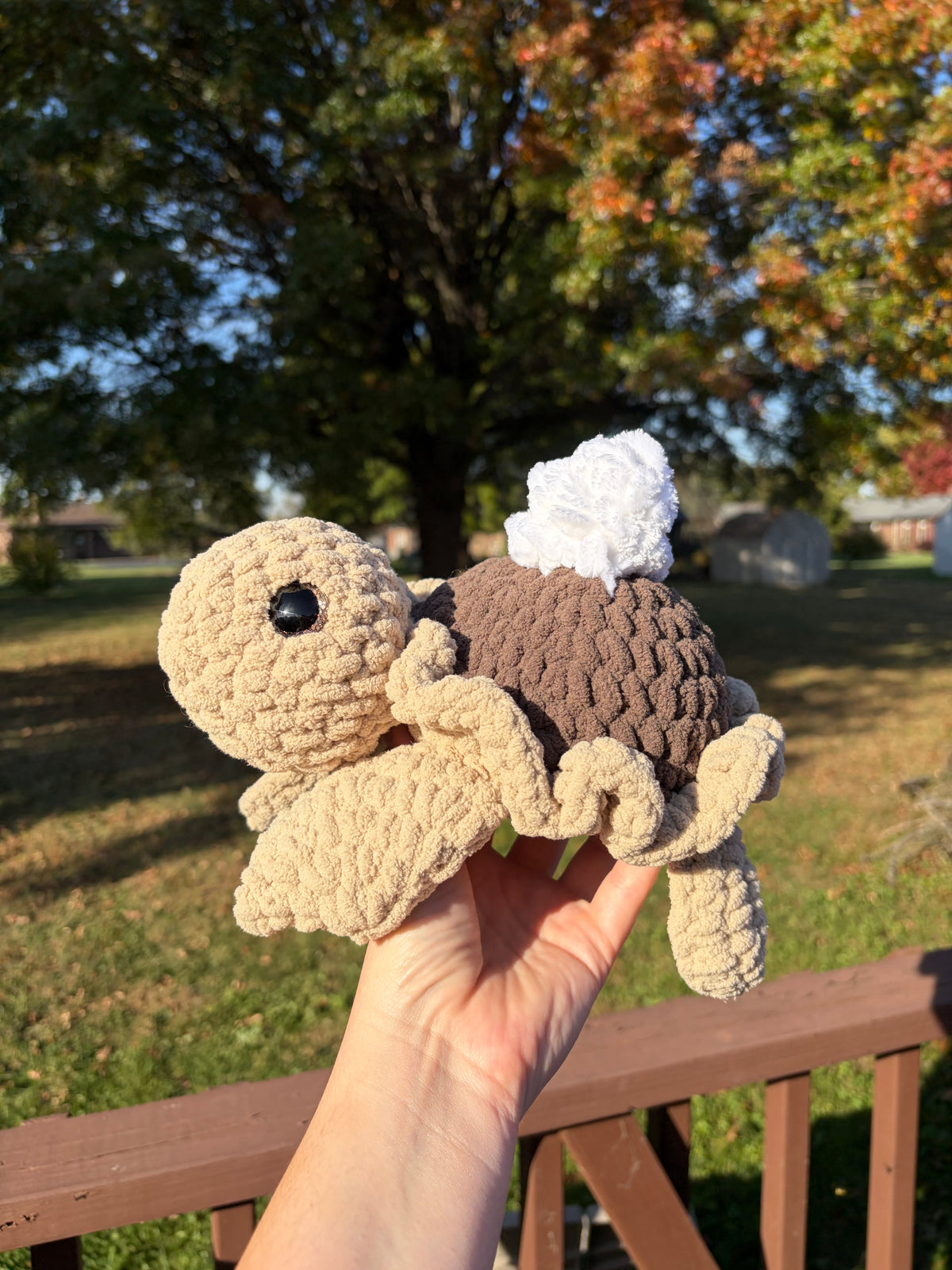 Chocolate Pie Turtle