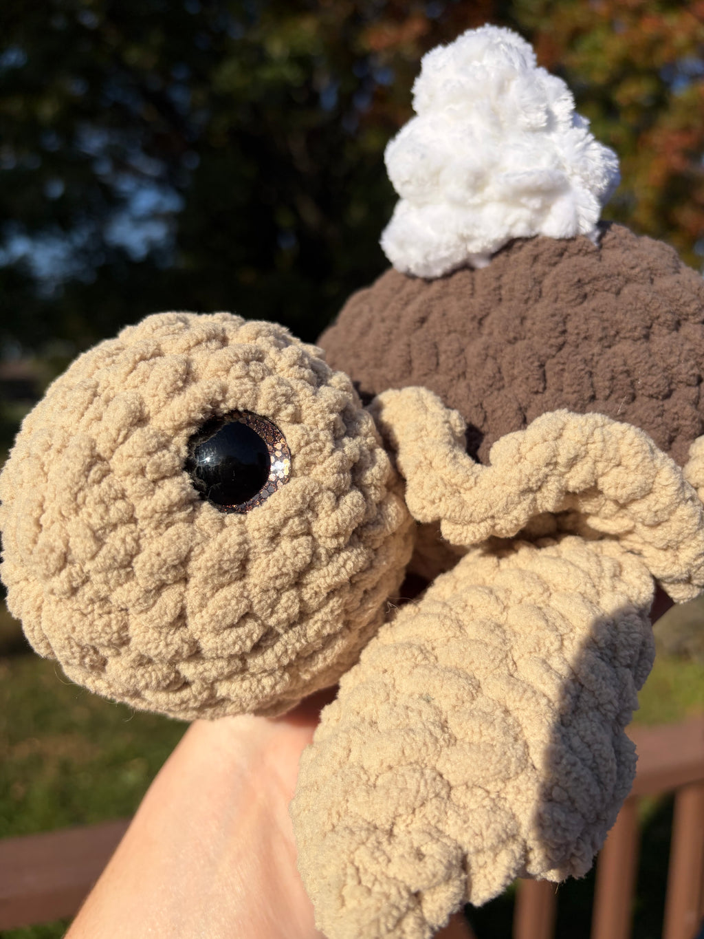 Chocolate Pie Turtle