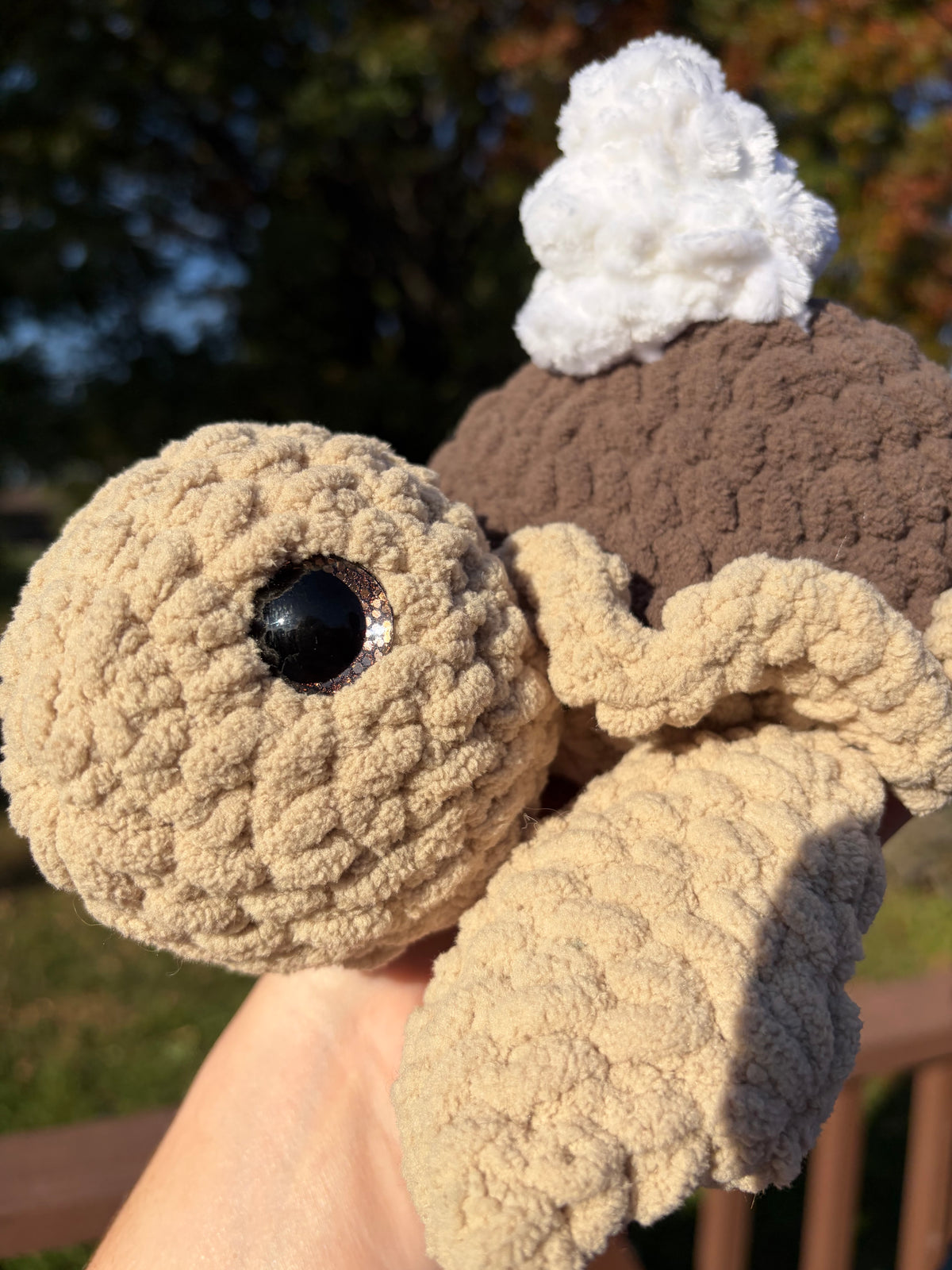Chocolate Pie Turtle