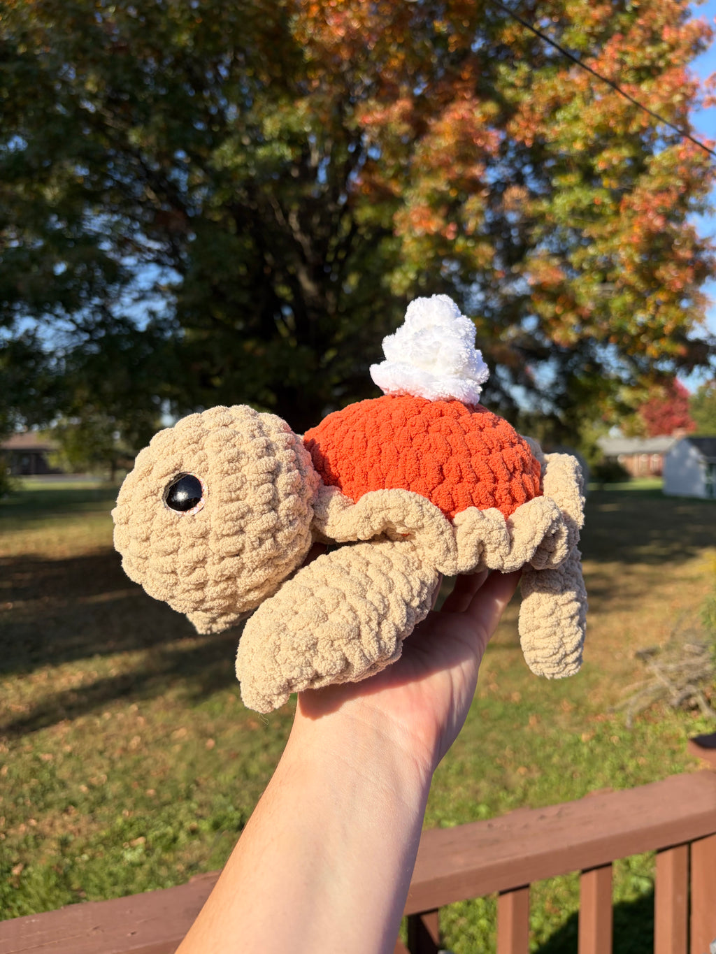Pumpkin Pie Turtle