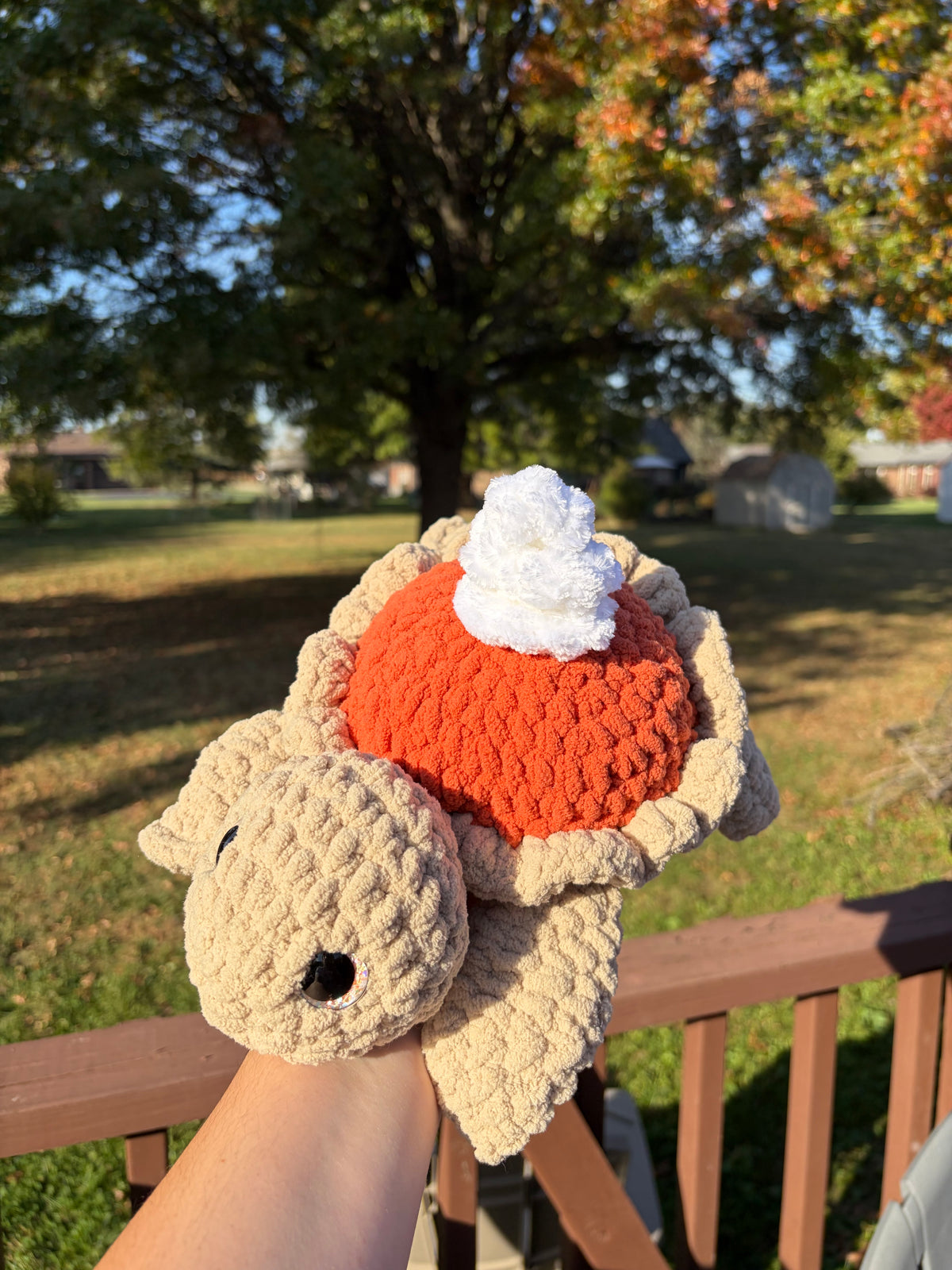Pumpkin Pie Turtle