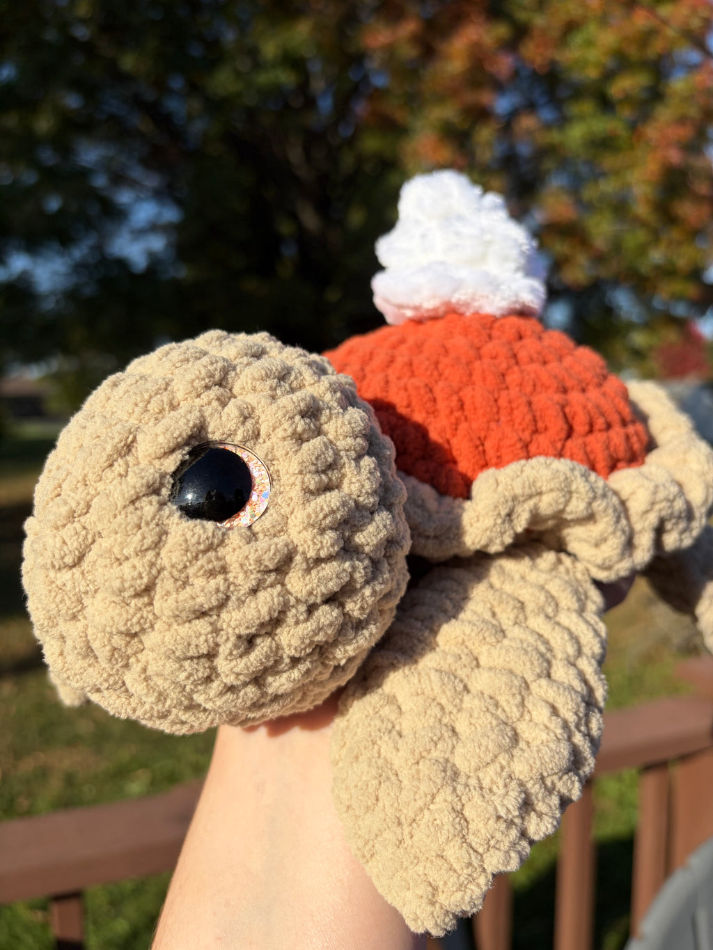 Pumpkin Pie Turtle