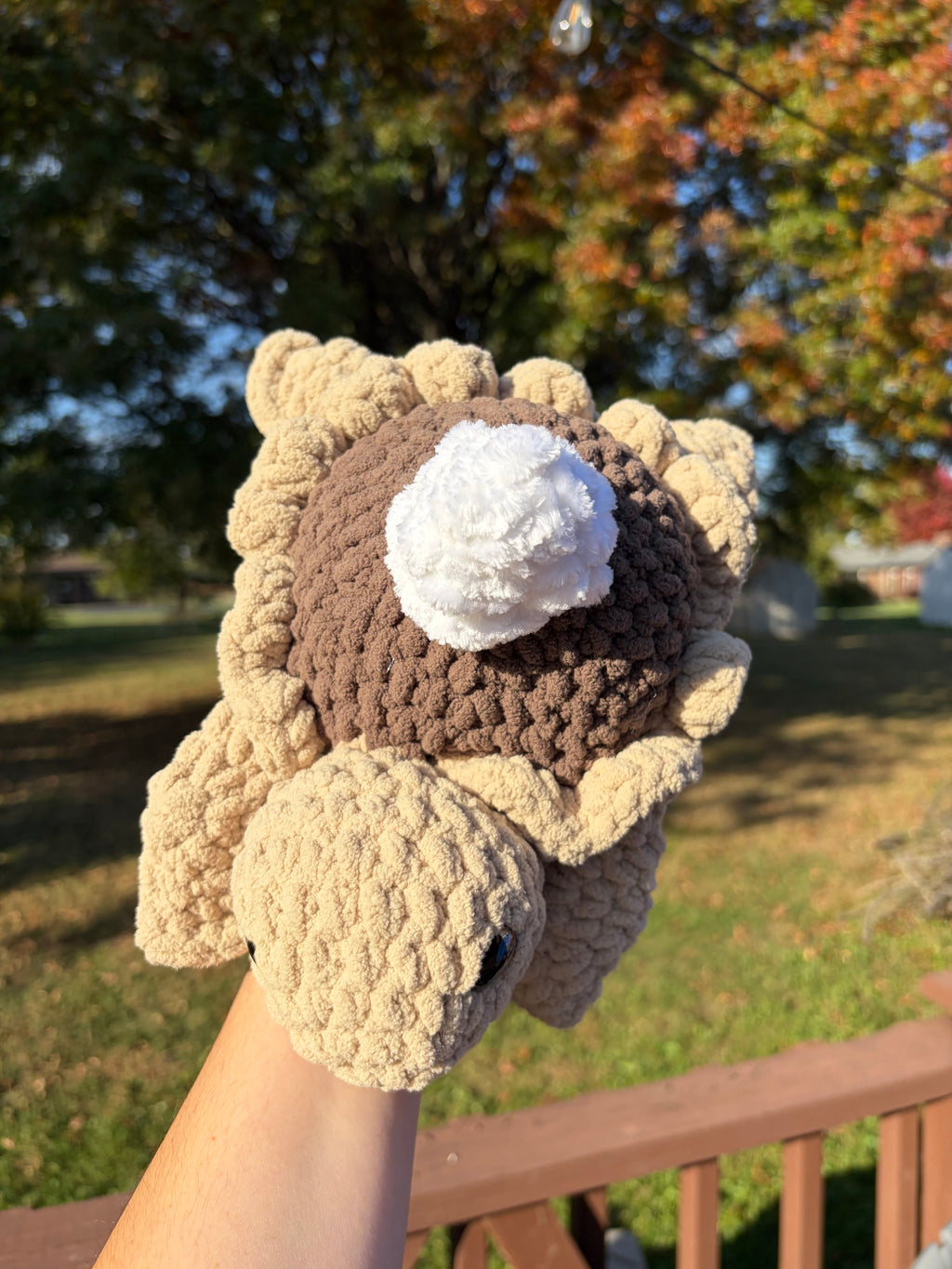 Chocolate Pie Turtle
