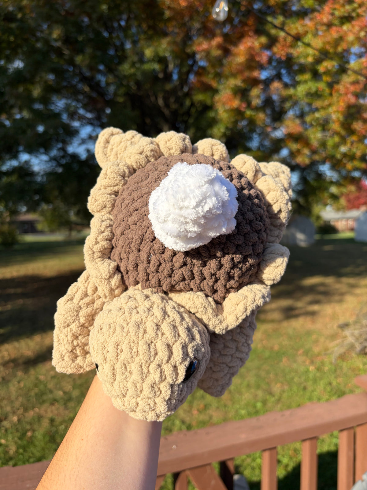 Chocolate Pie Turtle