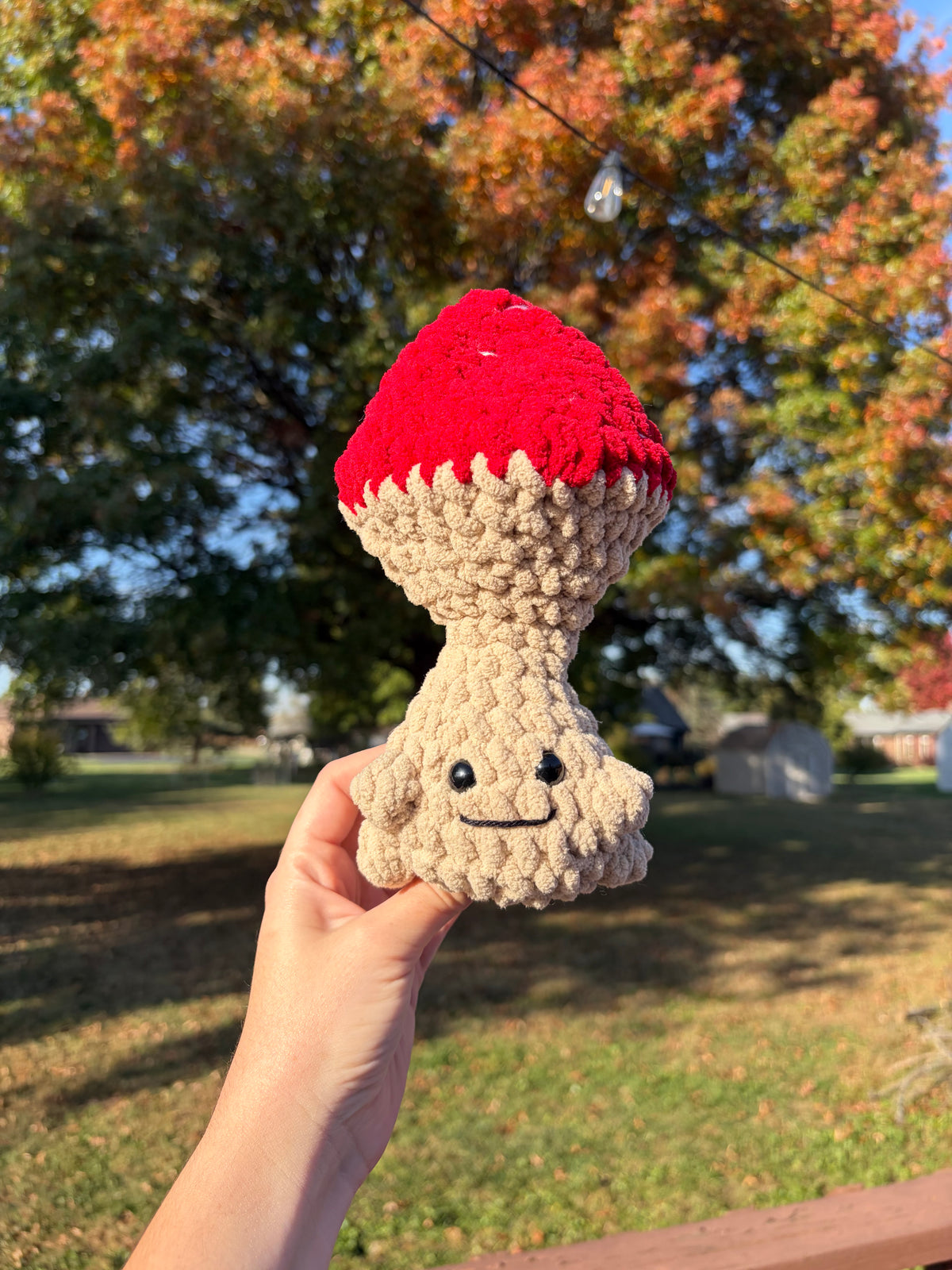 Mushroom Man