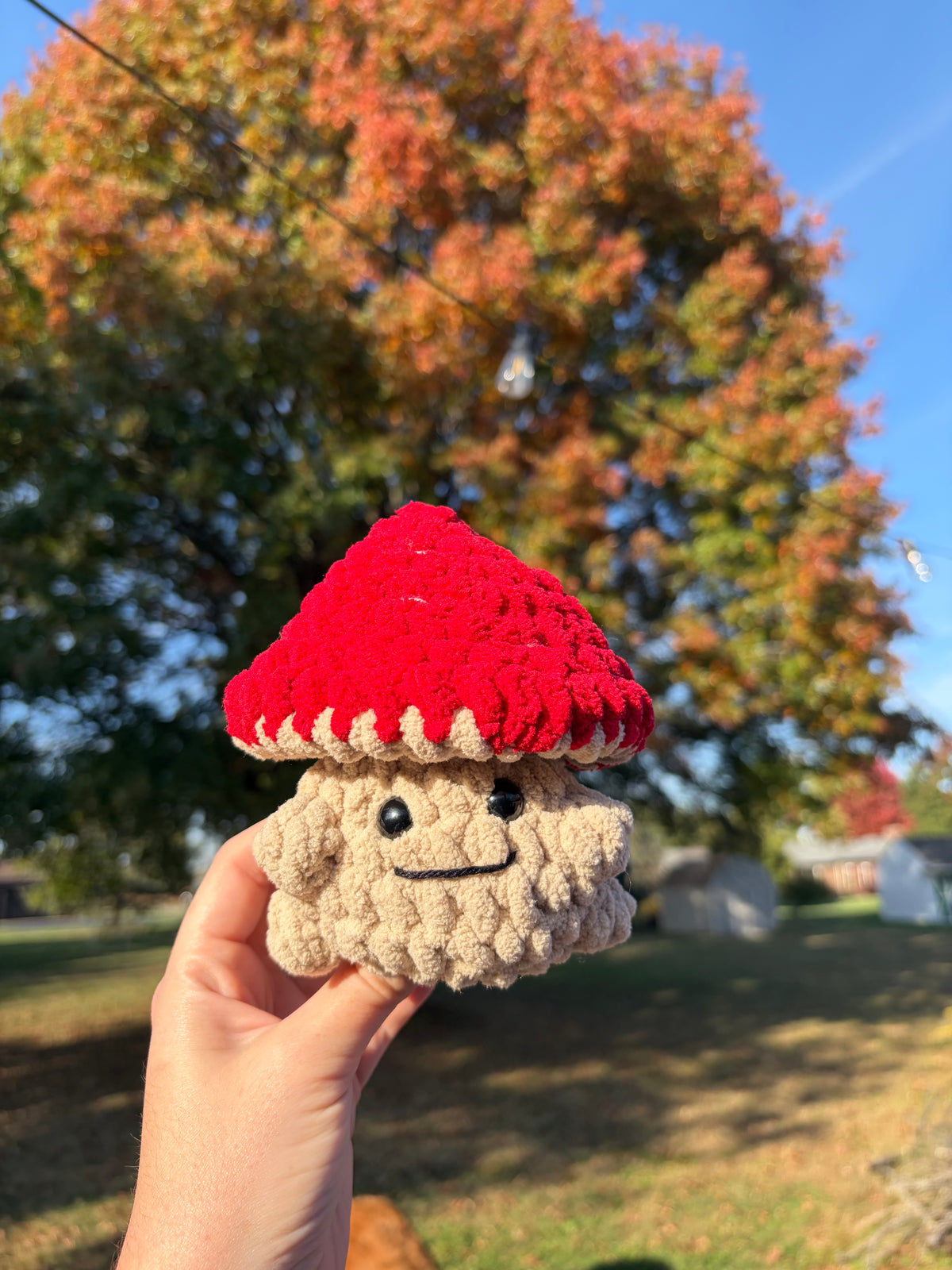 Mushroom Man