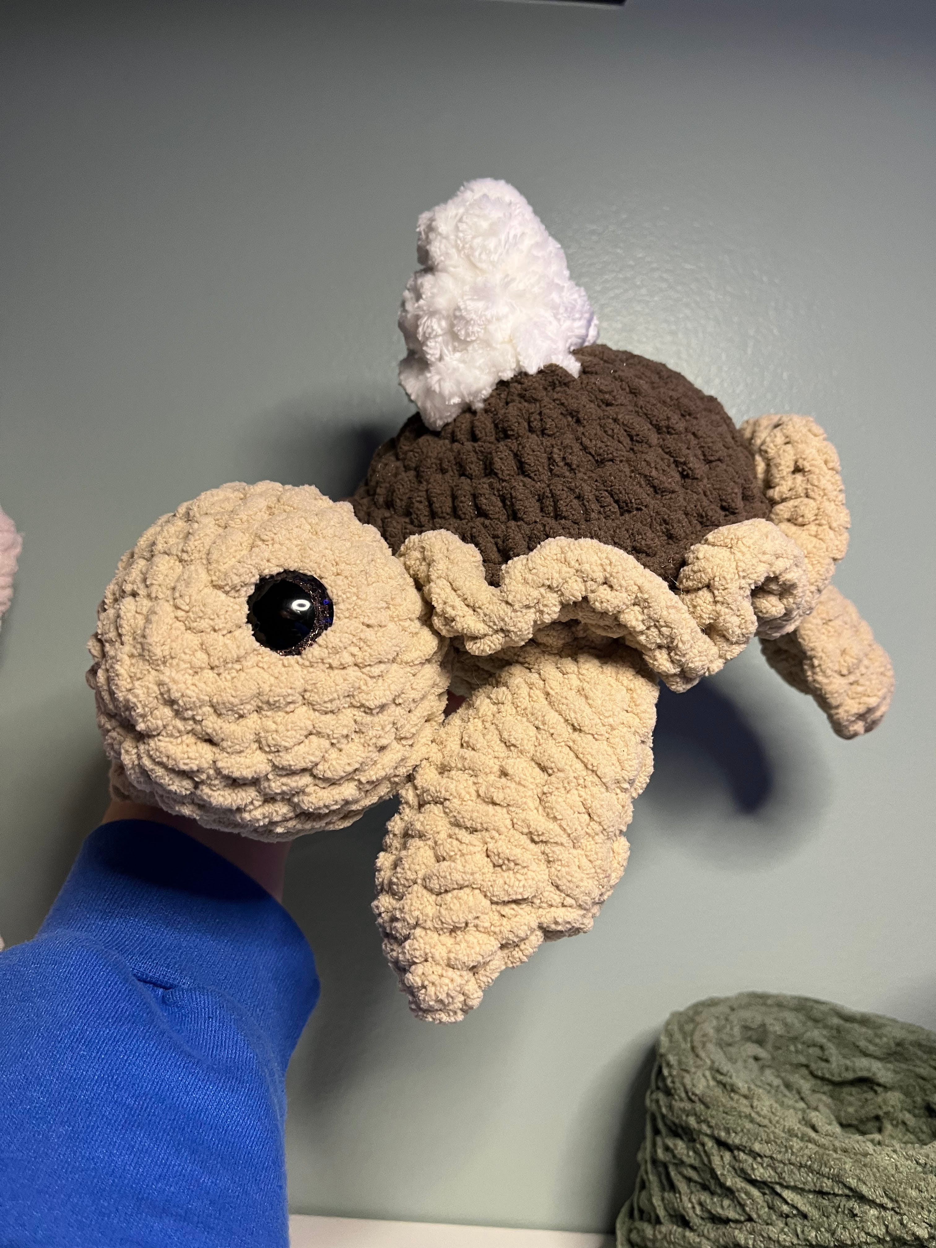 Chocolate Pie Turtle